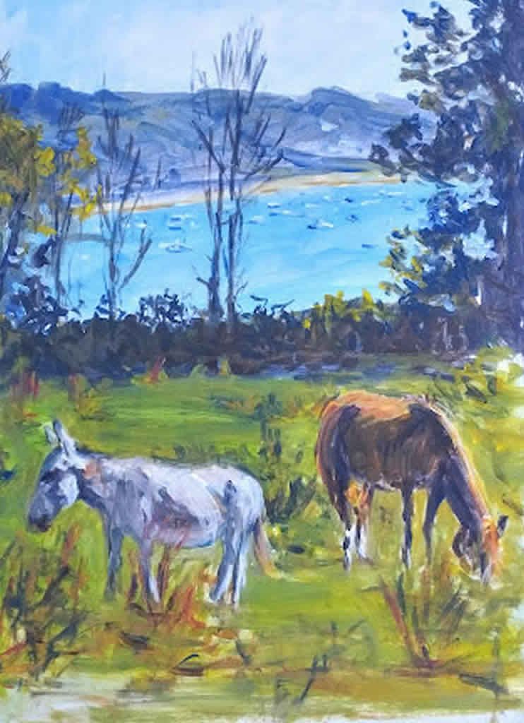 Ane et cheval